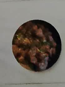 Beef Salpicao