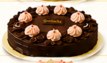 Classic Choco Pastel Blooms