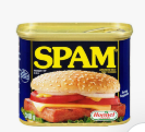 Spam Luncheon Meat 340g