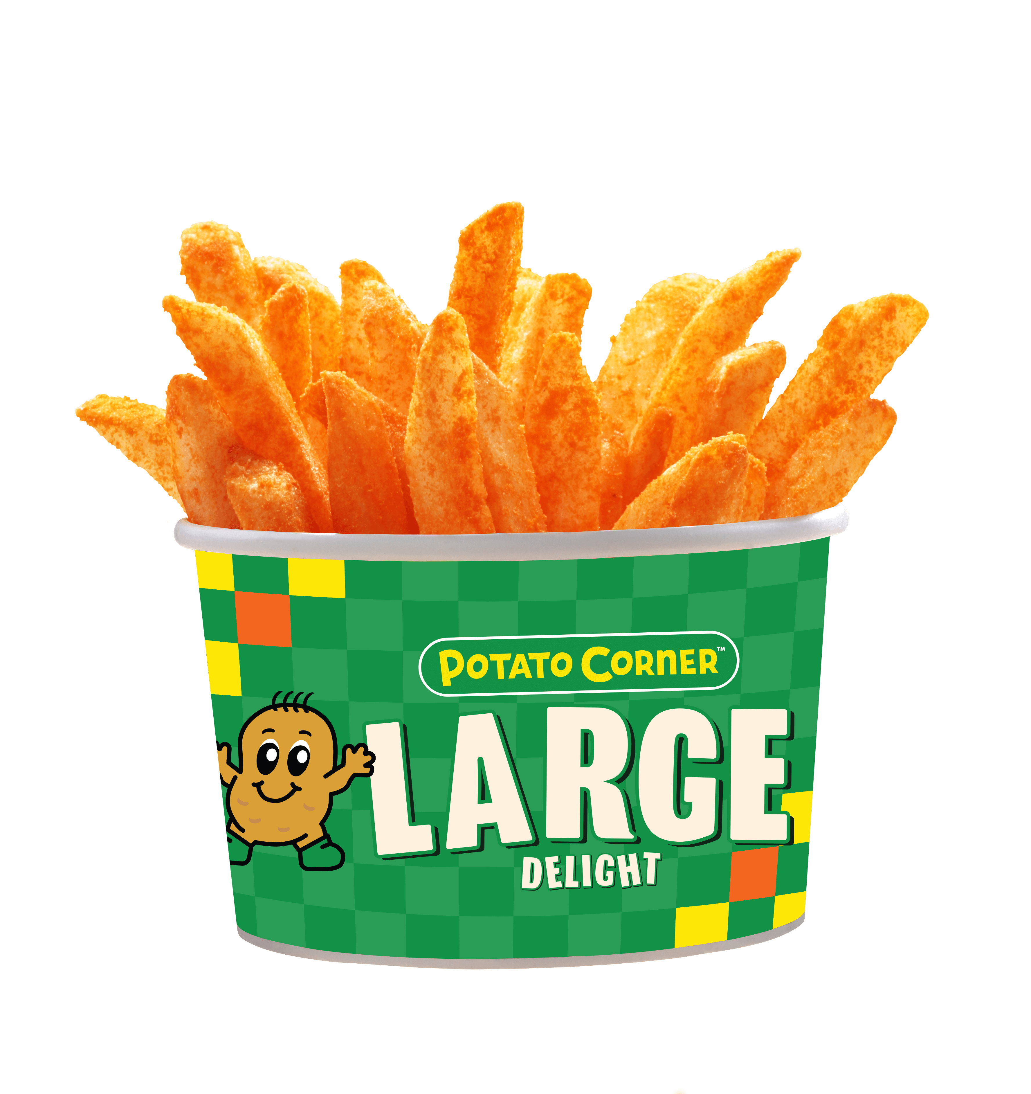 LARGE fries BBQ