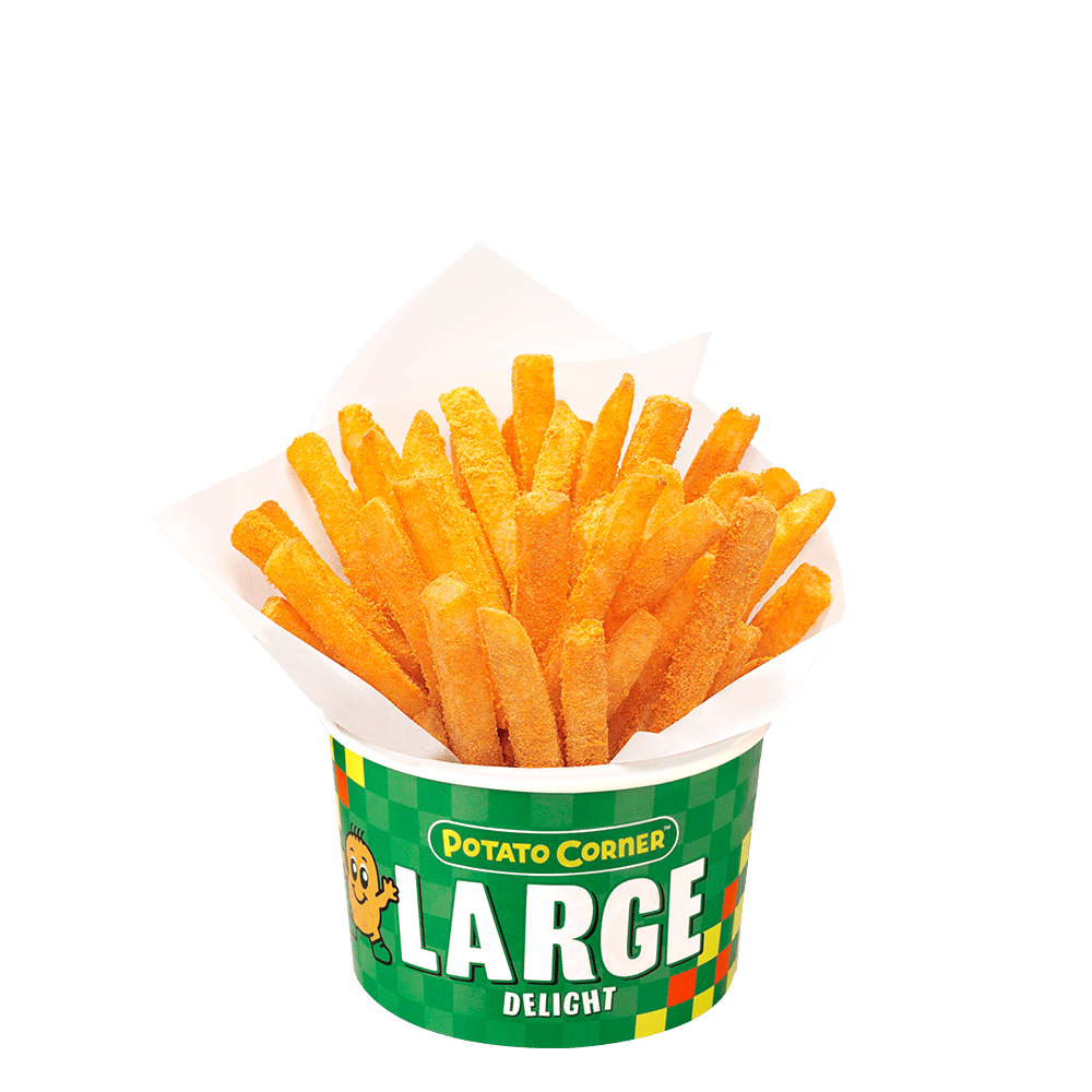 LARGE fries Cheese